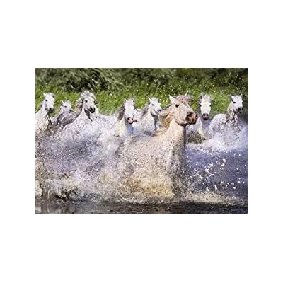 PUZZLE 1000 CABALLOS...