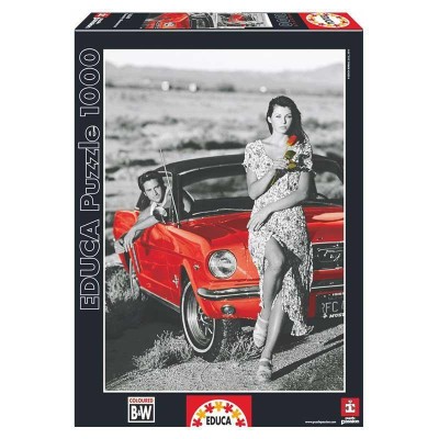 PUZZLE 1000 C.ROMANCE 16360 
