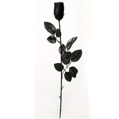 ROSAS 53CM 98023 