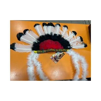 PLUMAS JEFE INDIO 93357 