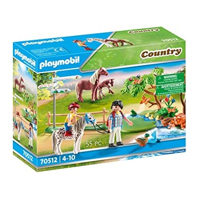 PASEO EN PONI 70512 