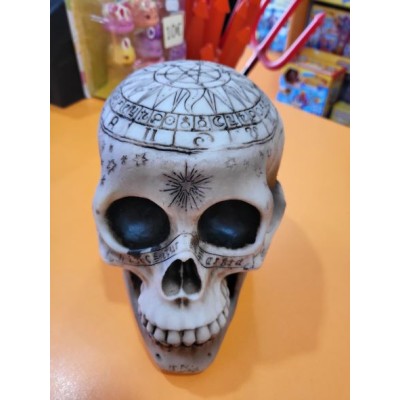 CABEZA CALAVERA 71877 