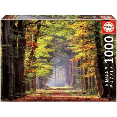 PUZZLE 1000 P.PASEO OTOÑAL...