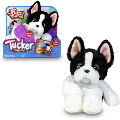 TUCKER PERRO DORMILON...