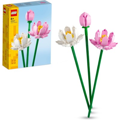 FLORES DE LOTO 40647