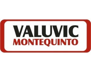 Valuvic